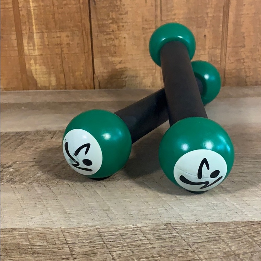 Zumba Weighted Maracas